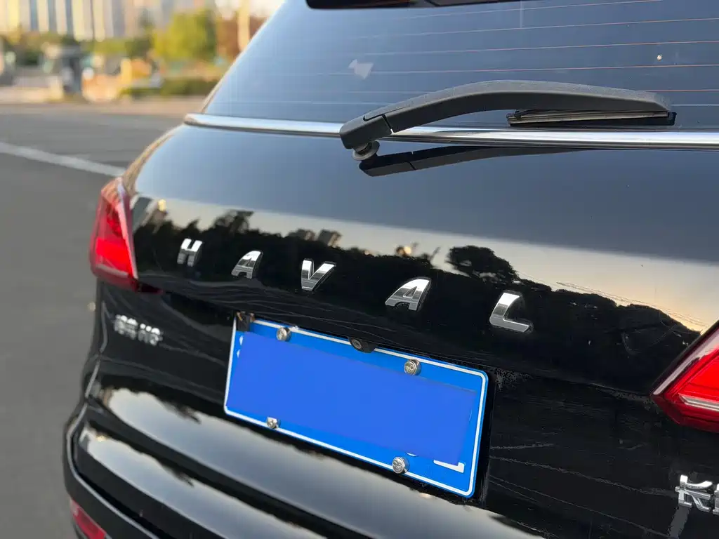 Haval H6 Coupe — миниатюра 7