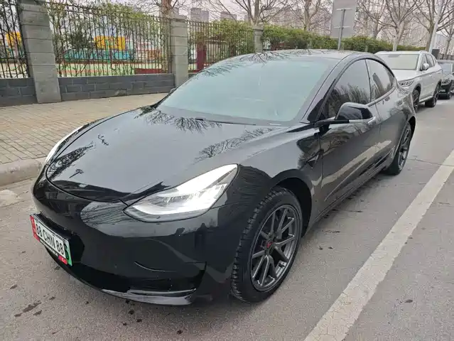 TESLA MODEL 3 2020