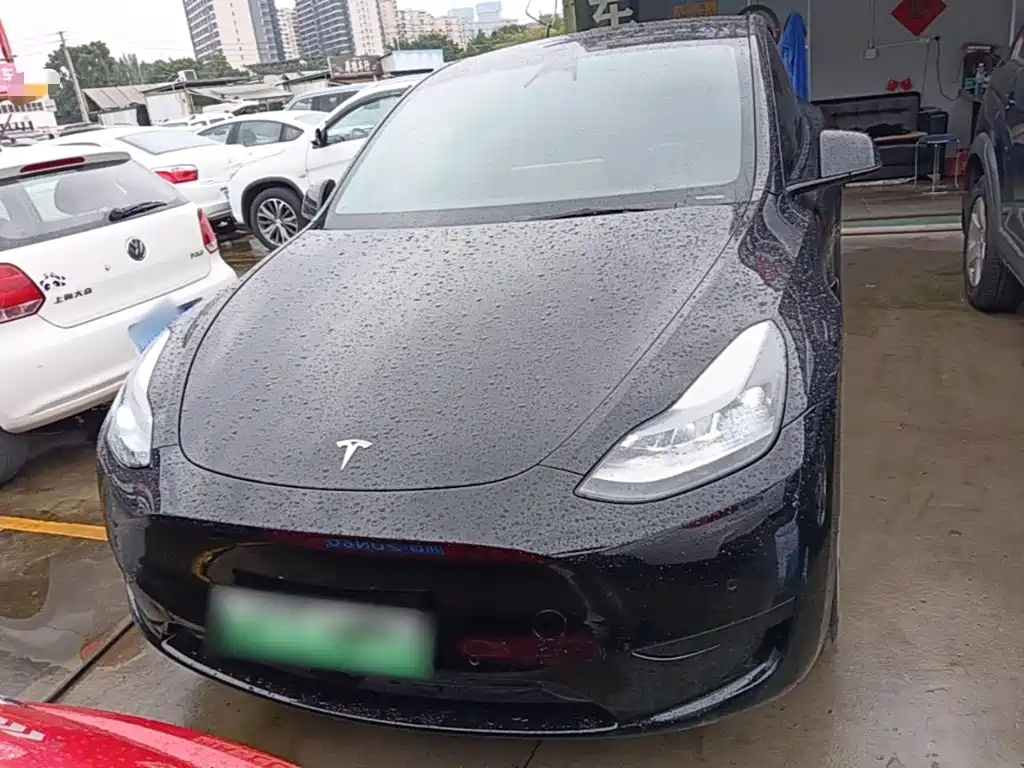 Tesla Model Y — миниатюра 3