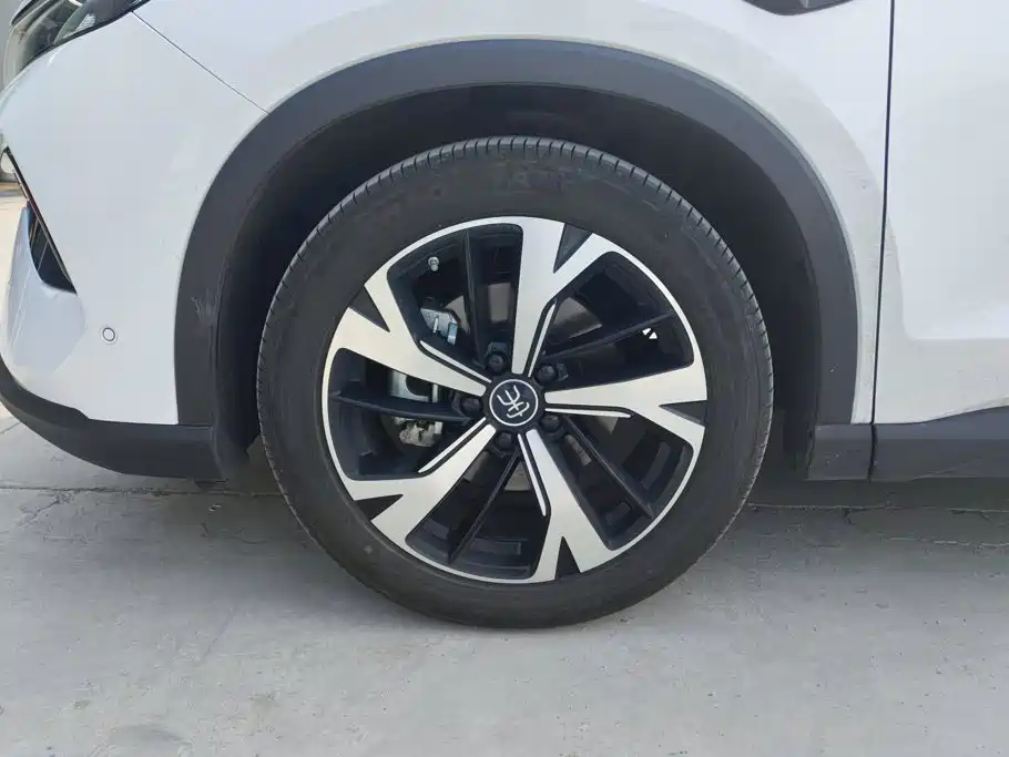 BYD Pro New Energy — миниатюра 6