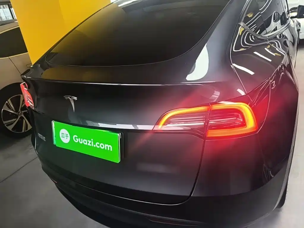 Tesla Model Y — миниатюра 6