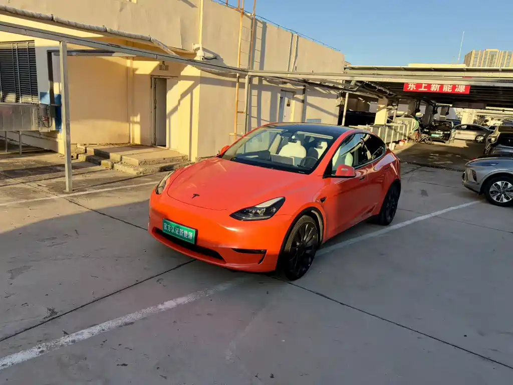 Tesla Model Y — миниатюра 2