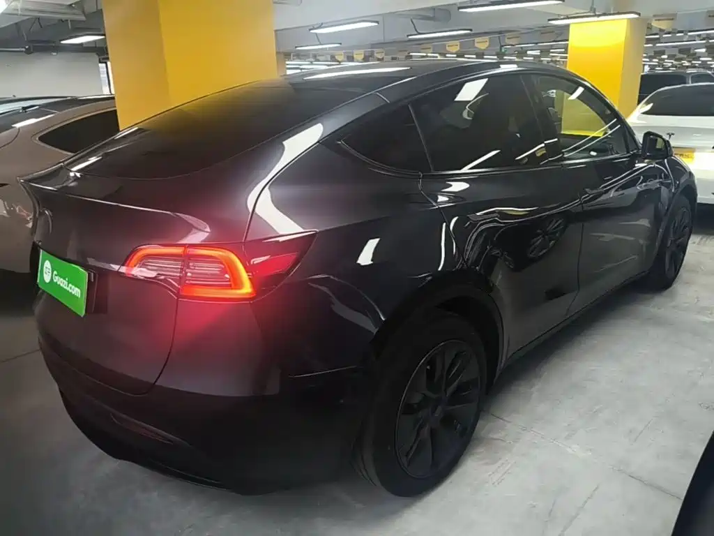 Tesla Model Y — миниатюра 7