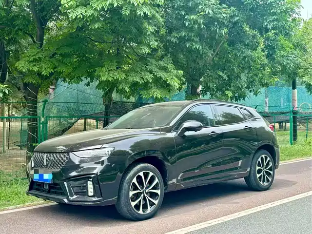2019 Wey VV7