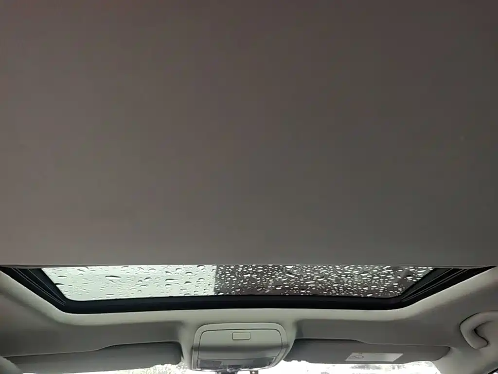 Volkswagen Passat — миниатюра 18