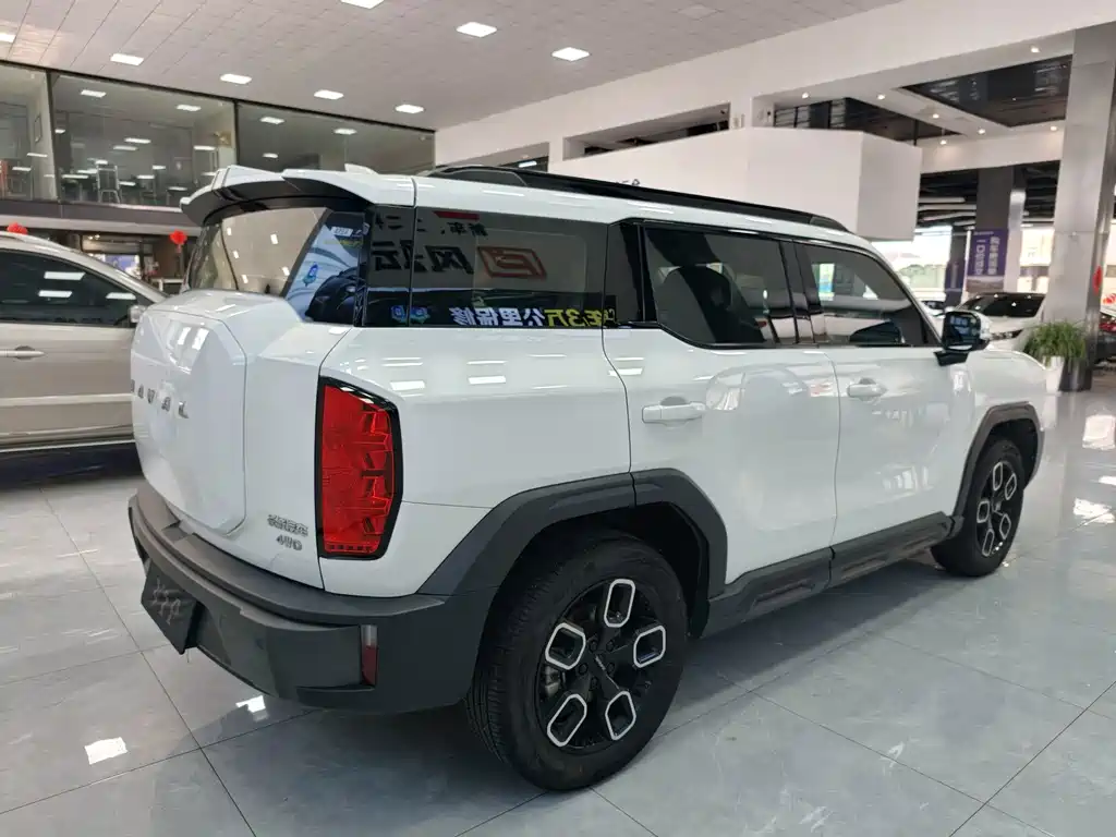 Haval Cool Dog — миниатюра 8