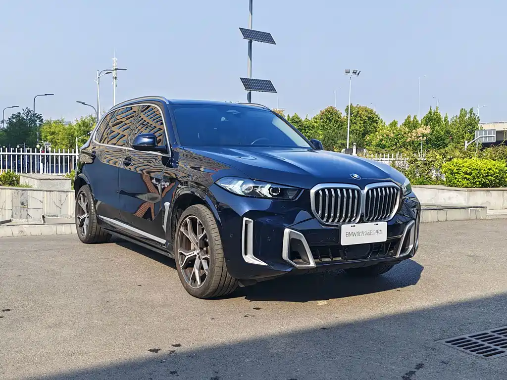 BMW X5 — миниатюра 3