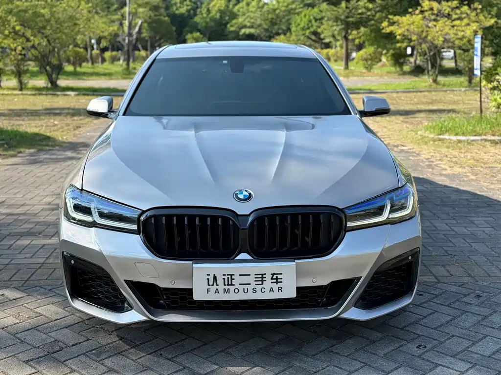 BMW 5 Series — миниатюра 2