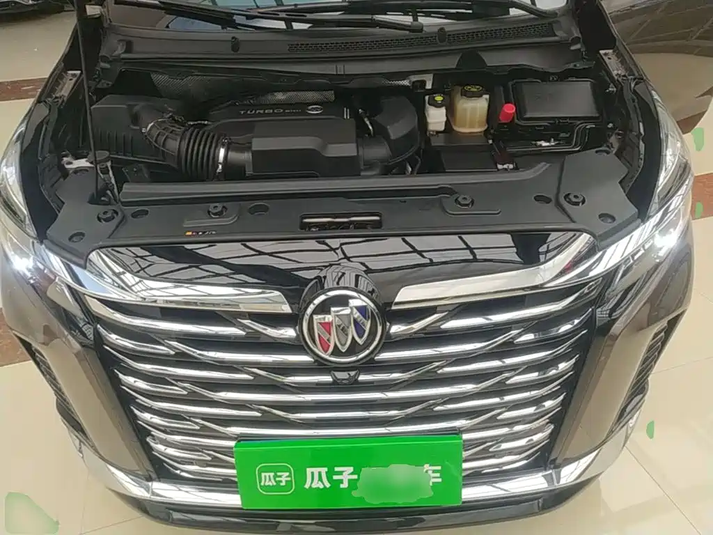 Buick GL8 — миниатюра 20