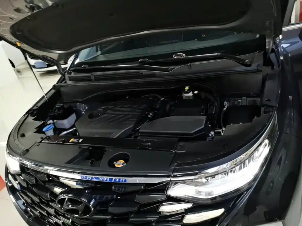 Hyundai Custo — миниатюра 20