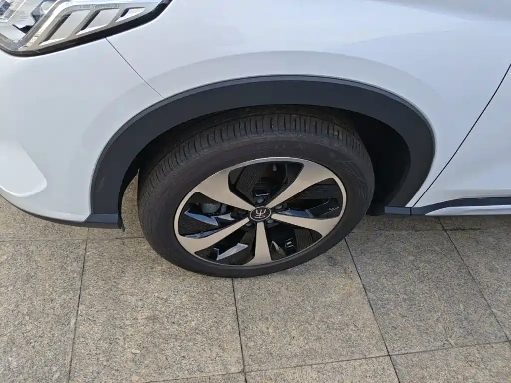 BYD PLUS New Energy — миниатюра 23