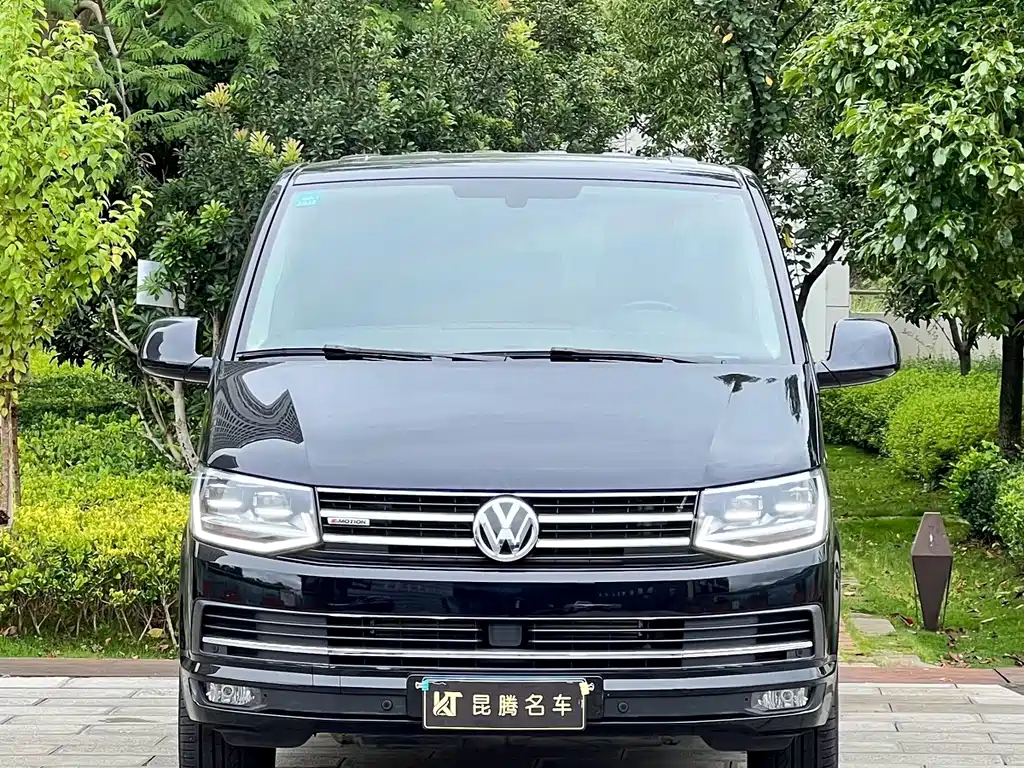 Volkswagen Multivan — миниатюра 2