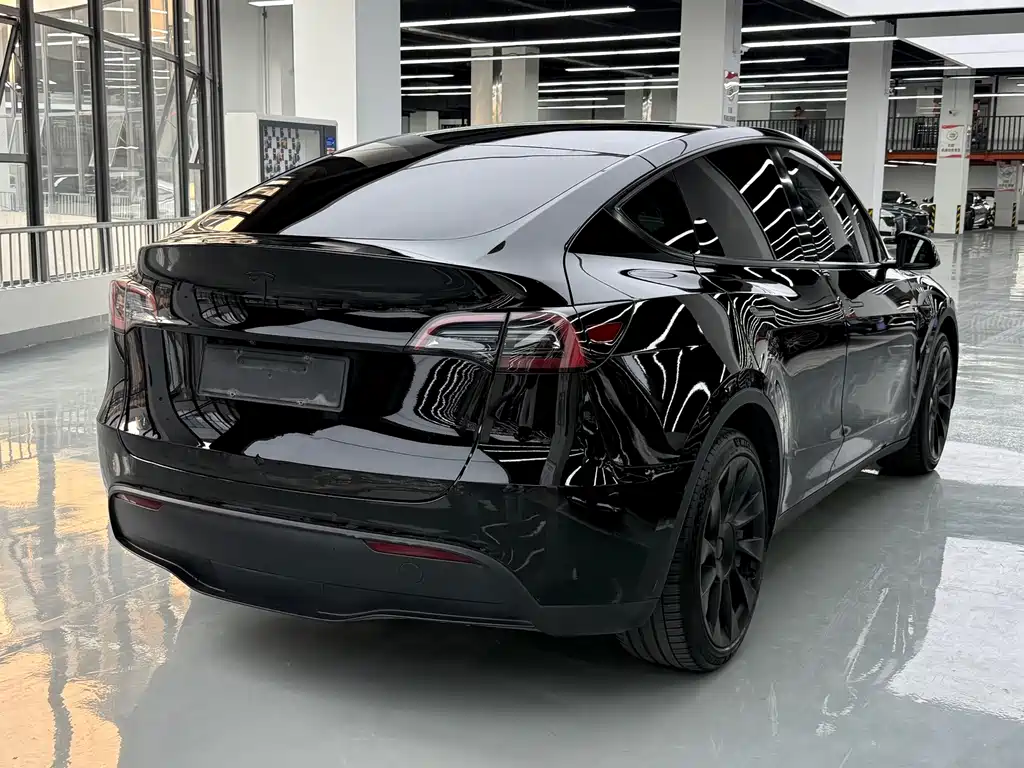 Tesla Model Y — миниатюра 16