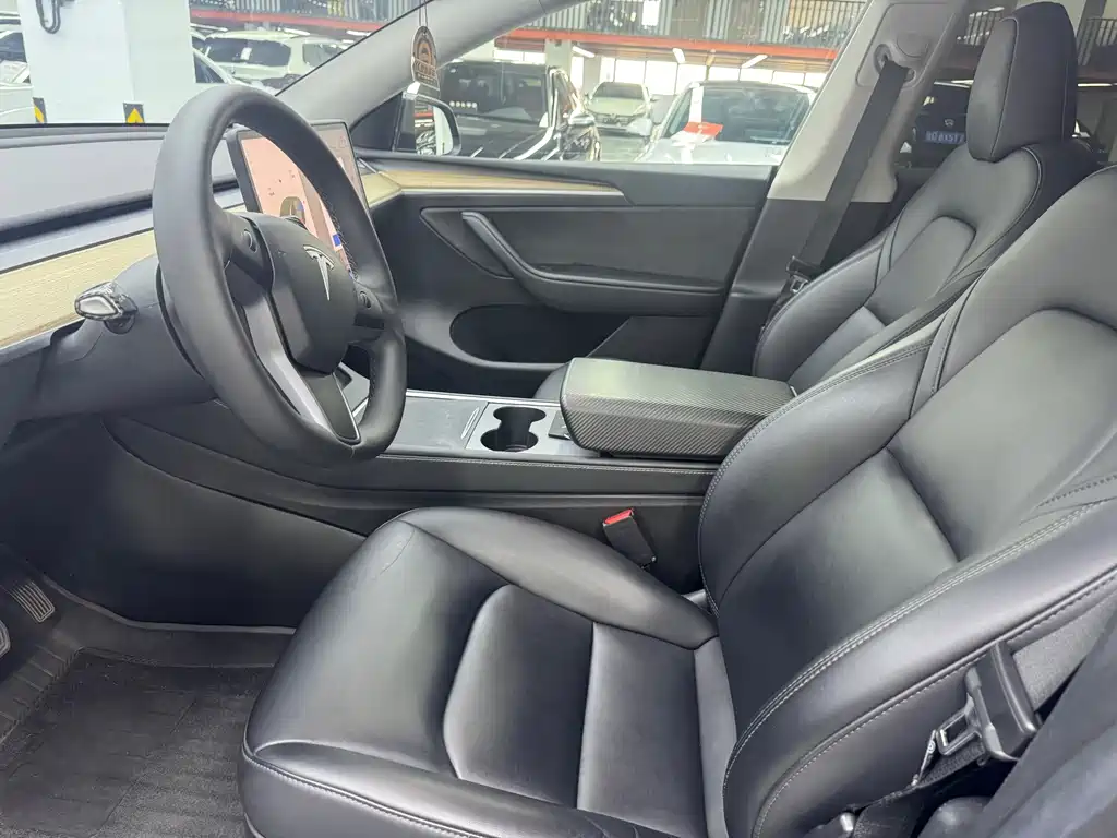 Tesla Model Y — миниатюра 4