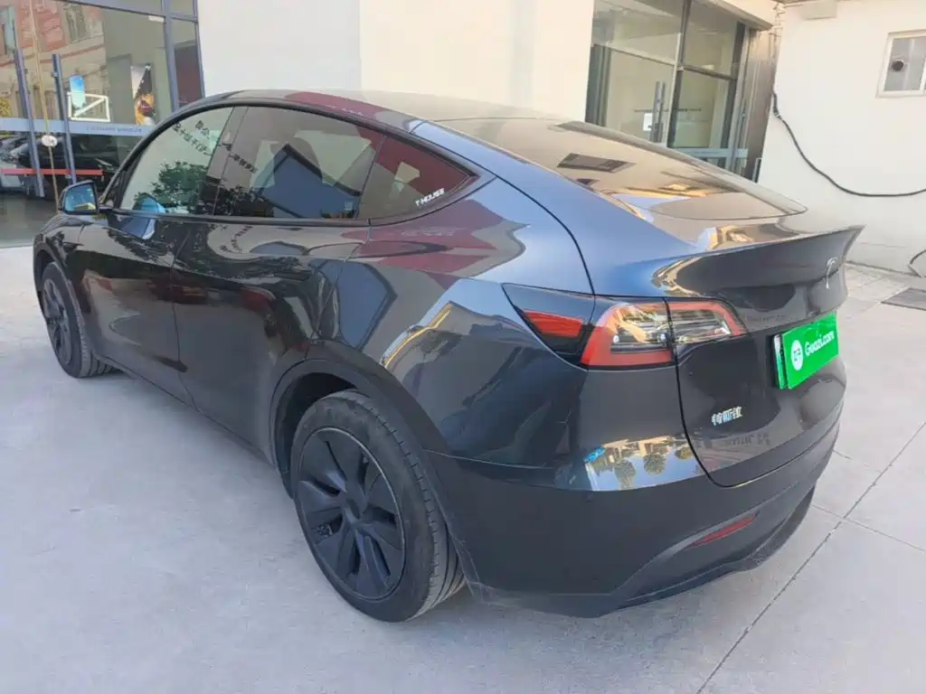 Tesla Model Y — миниатюра 5