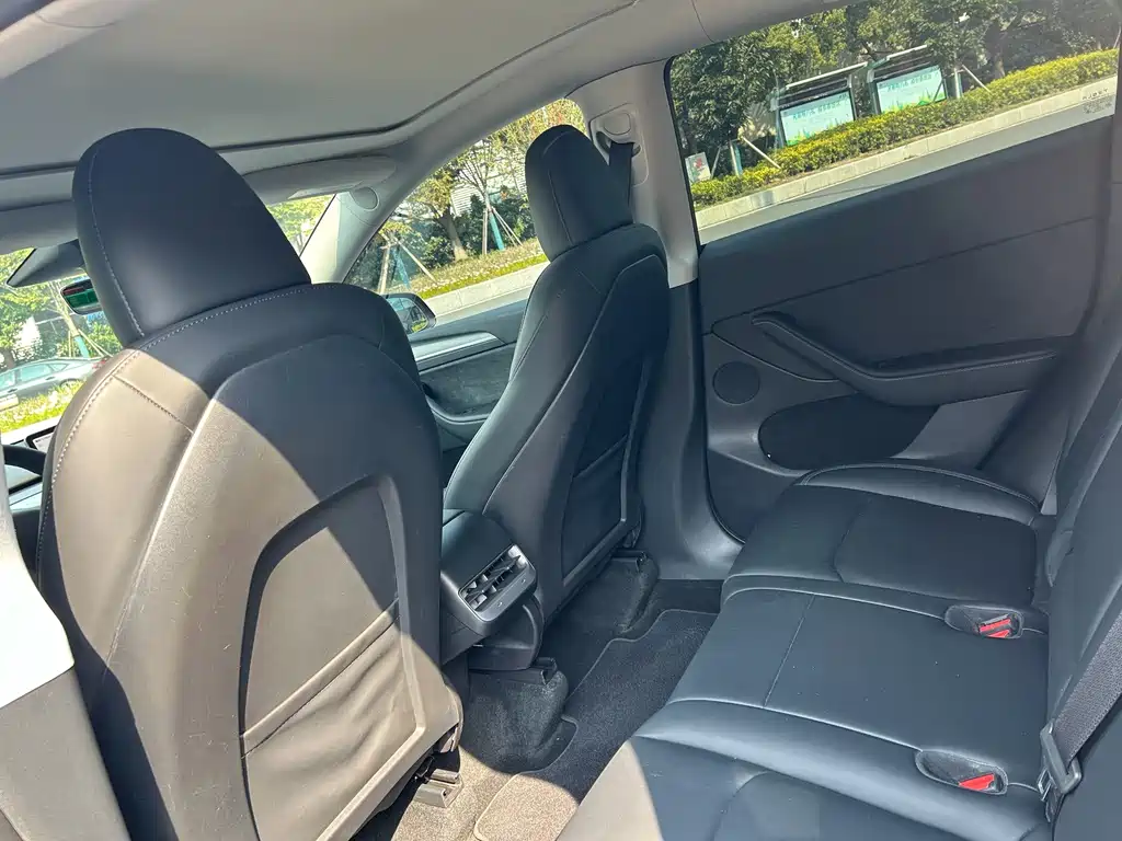 Tesla Model Y — миниатюра 7