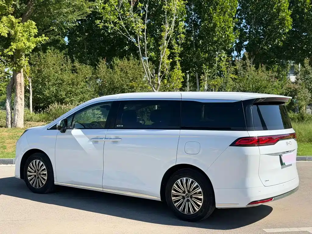 BYD M9 — миниатюра 12