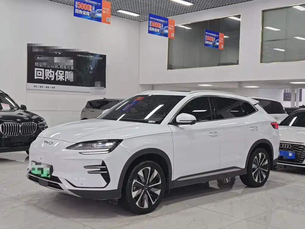 Byd PLUS New Energy 2024