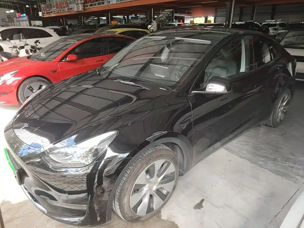 Tesla Model Y — миниатюра 2
