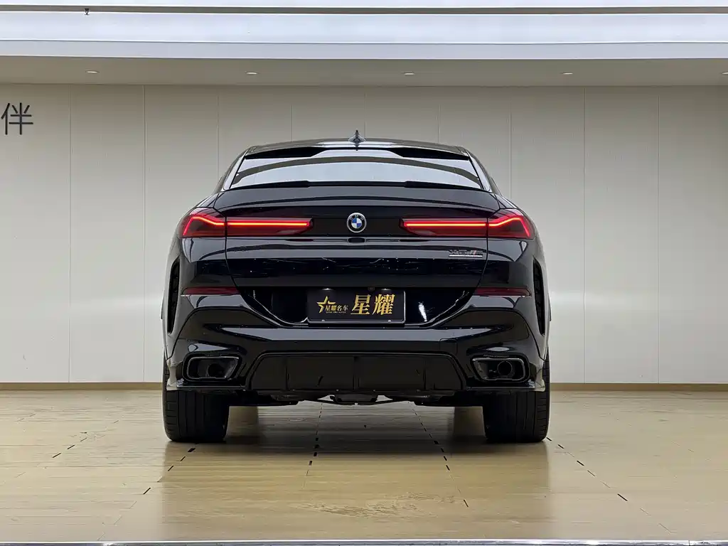 BMW X6 — миниатюра 22