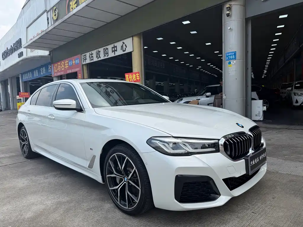BMW 5 Series — миниатюра 2