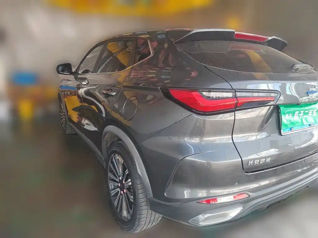 Oshan Oushang X5 — миниатюра 4