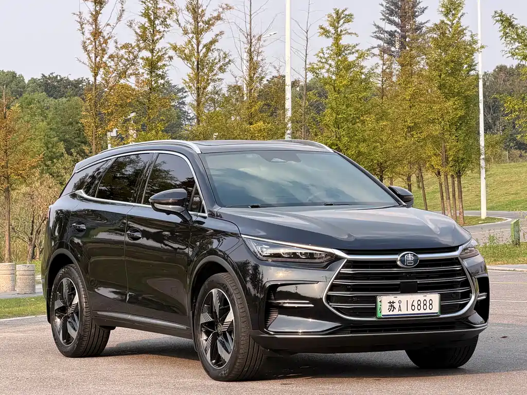 BYD Tang New Energy — миниатюра 3