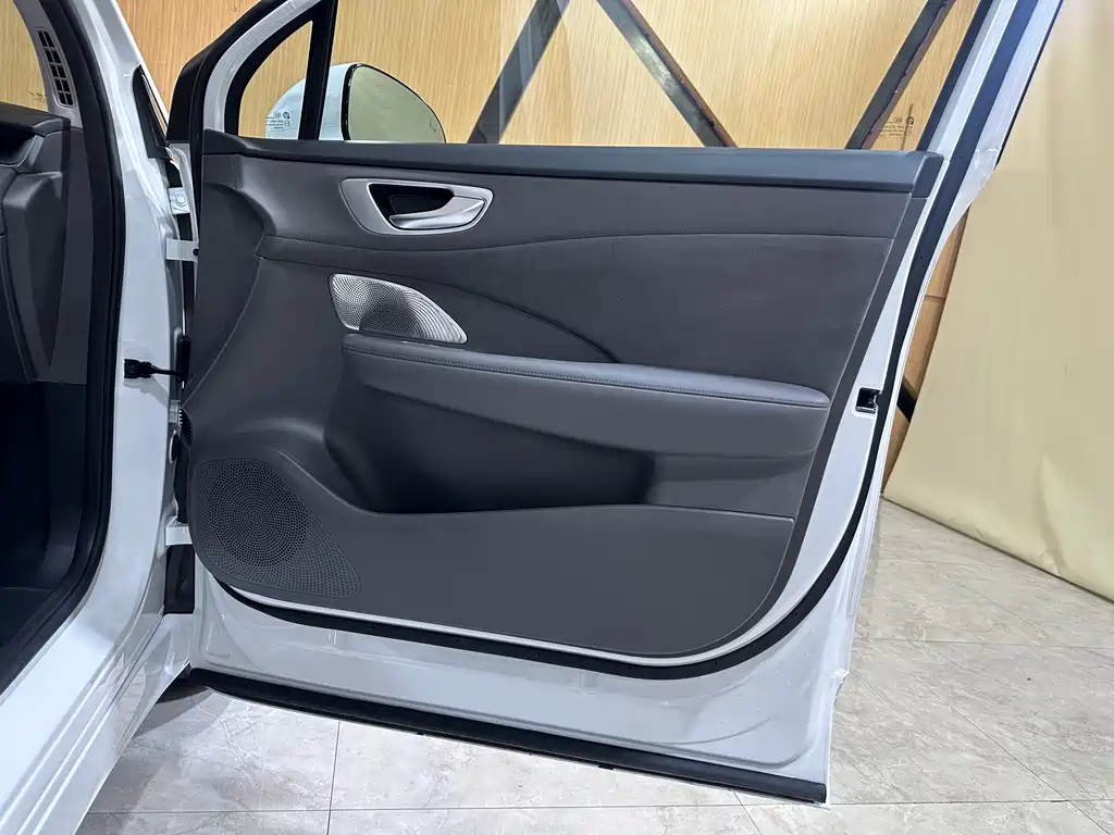 Shangjie Shangjie H5 — миниатюра 8
