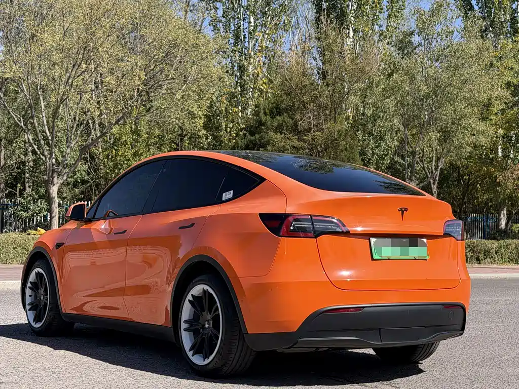 Tesla Model Y — миниатюра 4