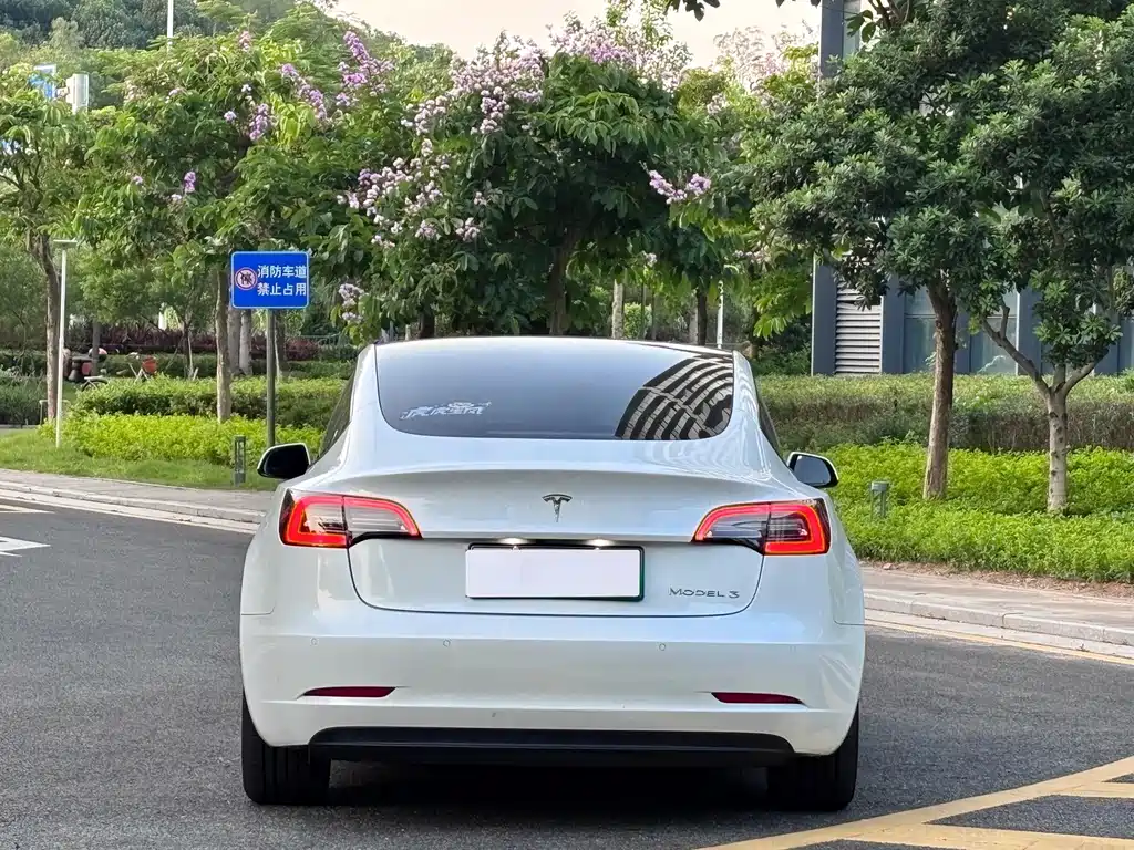 Tesla Model 3 — миниатюра 8