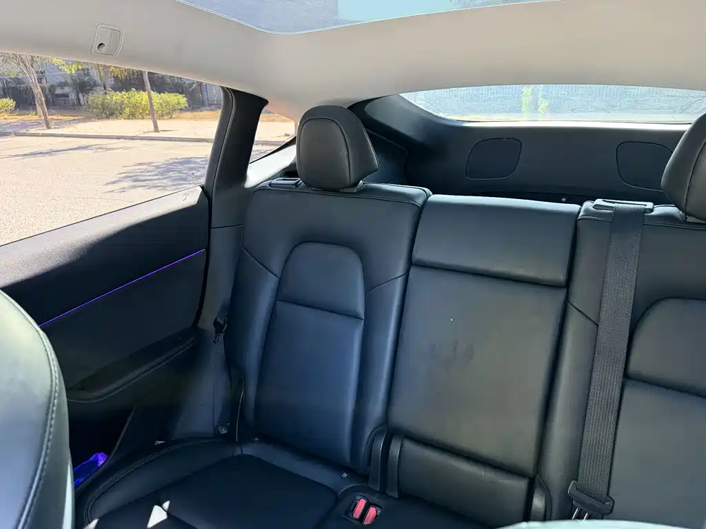 Tesla Model Y — миниатюра 15