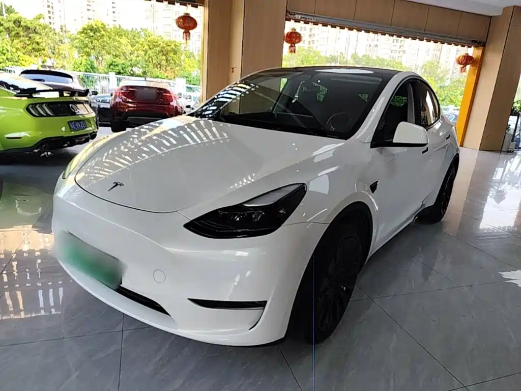 Tesla Model Y — миниатюра 2
