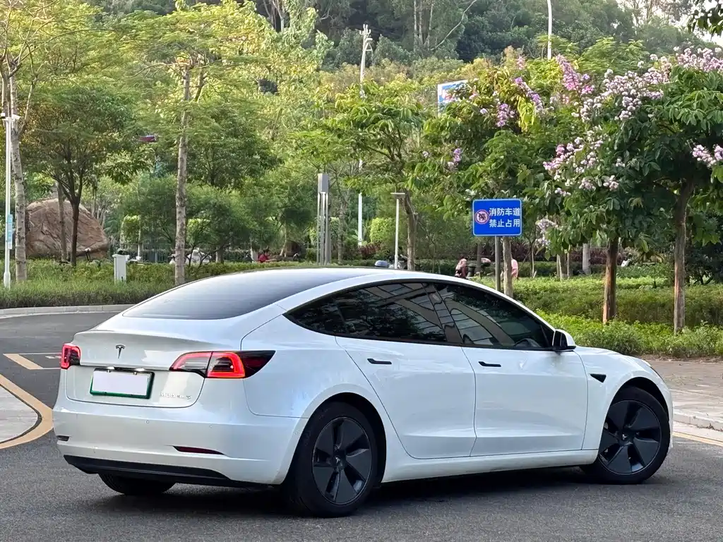 Tesla Model 3 — миниатюра 9