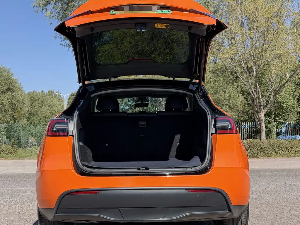 Tesla Model Y — миниатюра 7