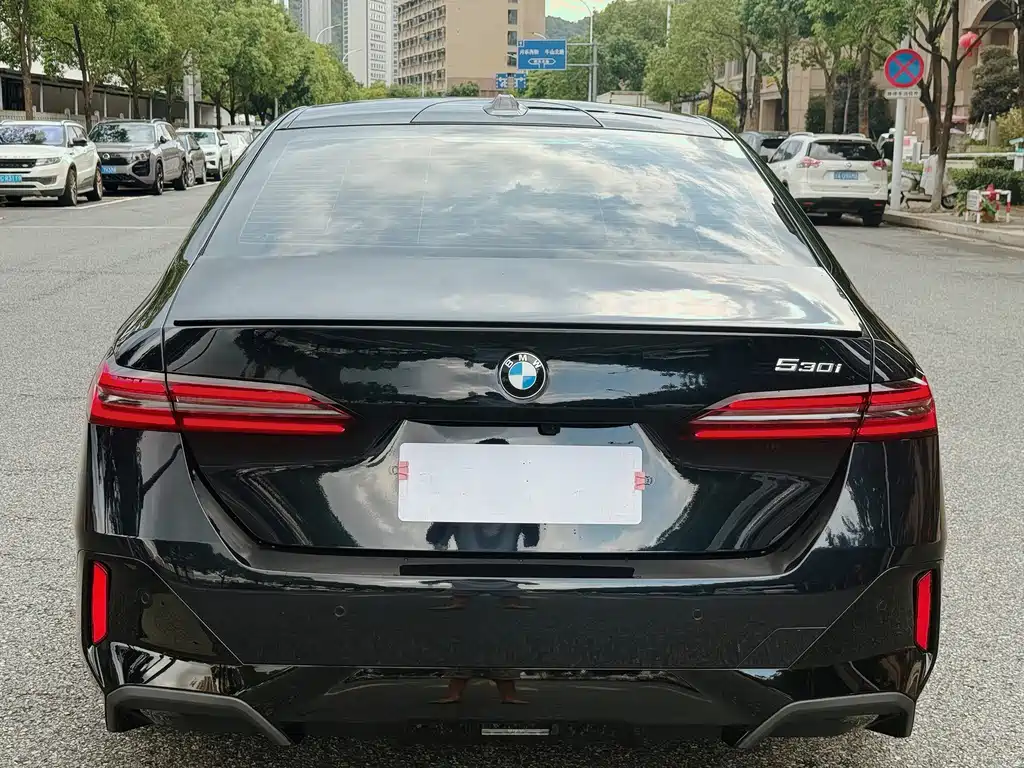 BMW 5 Series (Import) — миниатюра 6