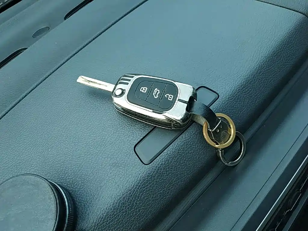 MAXUS V80 — миниатюра 9