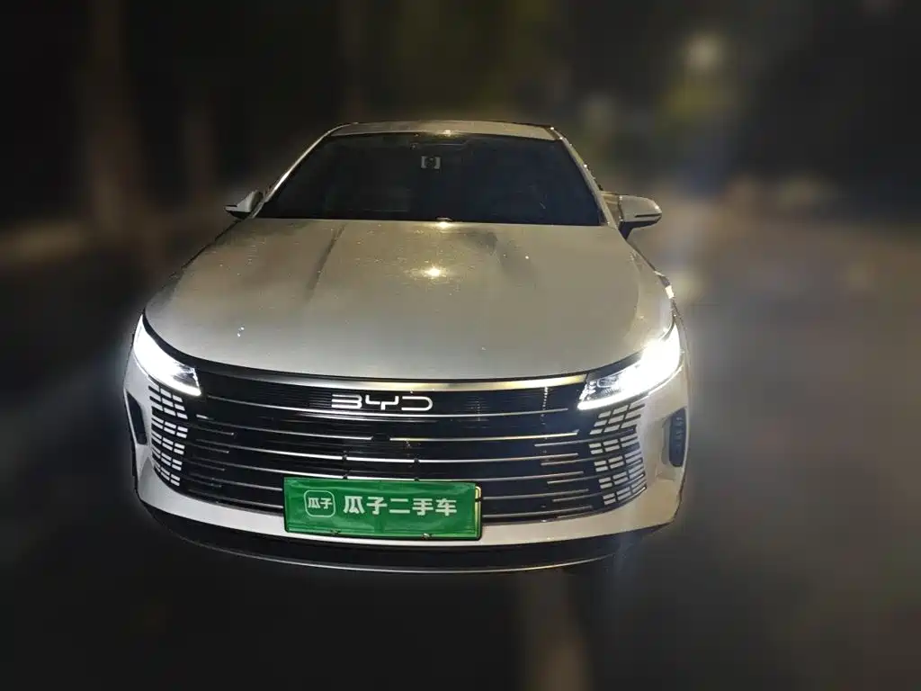 BYD Destroyer 05 — миниатюра 2