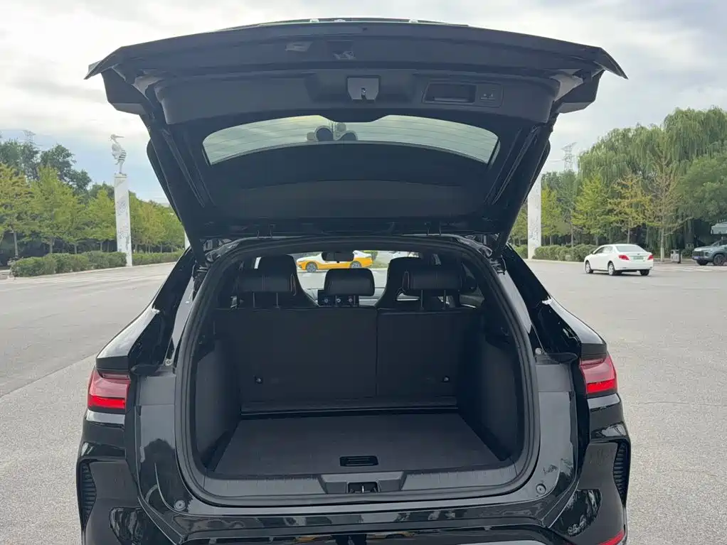 BYD PLUS New Energy — миниатюра 10