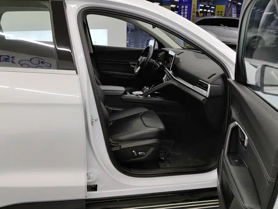 BYD Pro — миниатюра 8