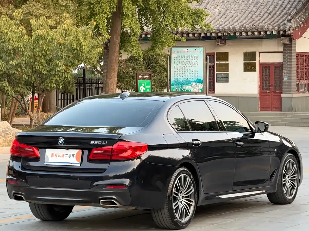 BMW 5 Series — миниатюра 4