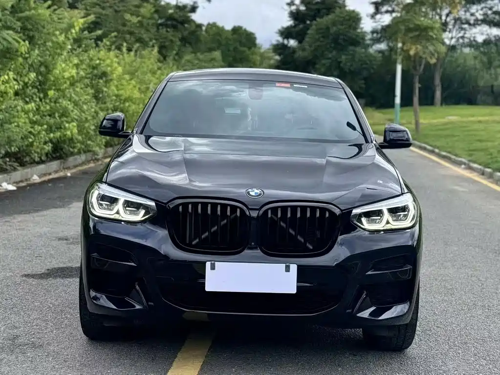 BMW X4 — миниатюра 2