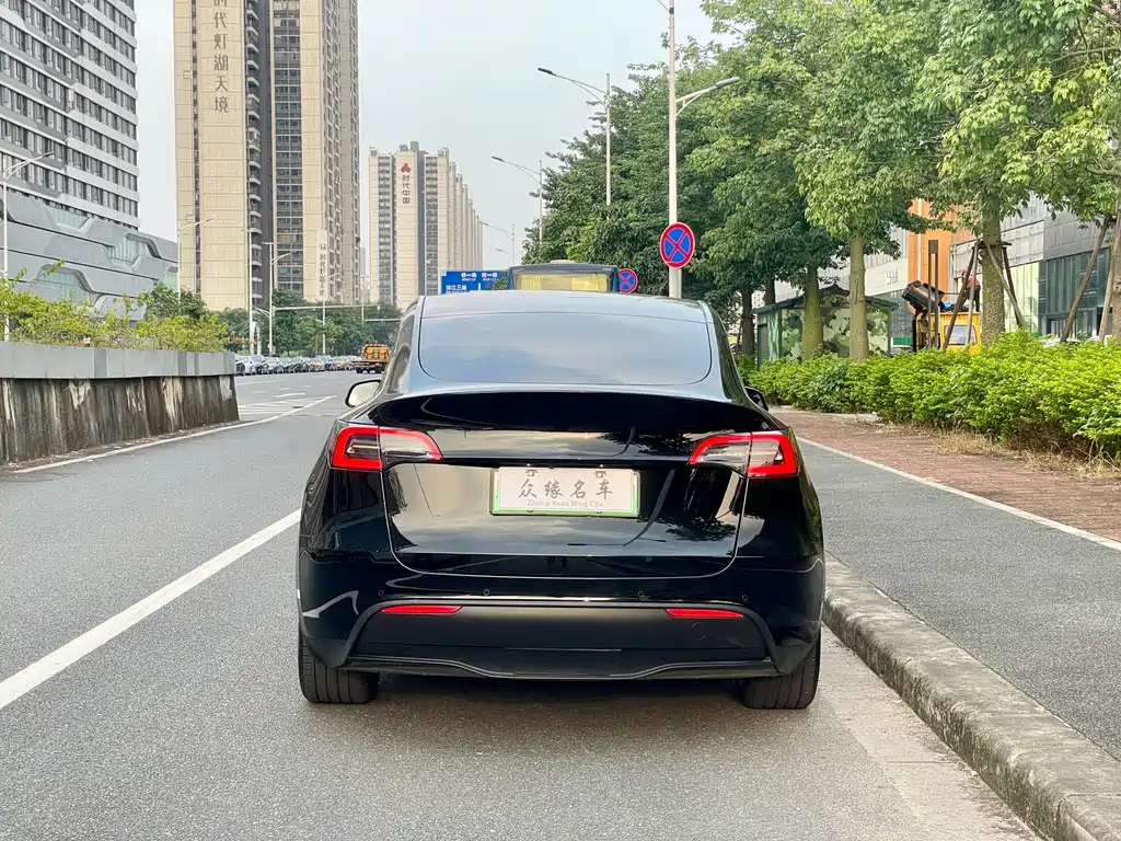 Tesla Model Y — миниатюра 6