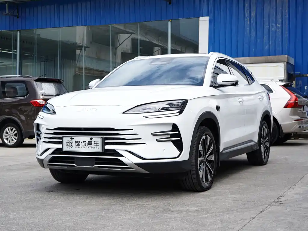 BYD PLUS New Energy