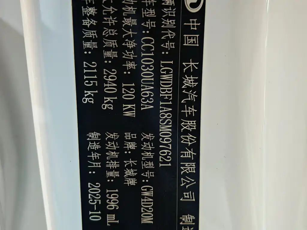Great Wall King Kong Pao — миниатюра 18