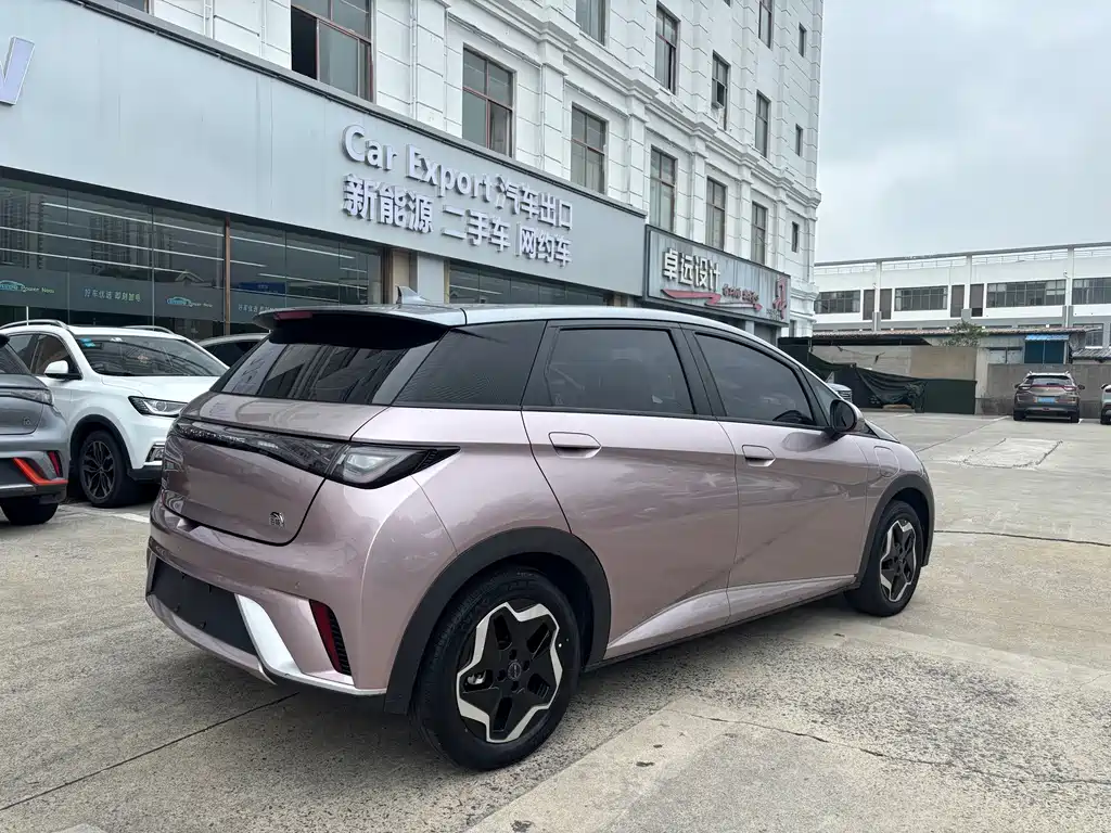 BYD Dolphin — миниатюра 5