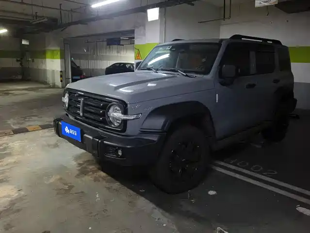 2021 TANK 300