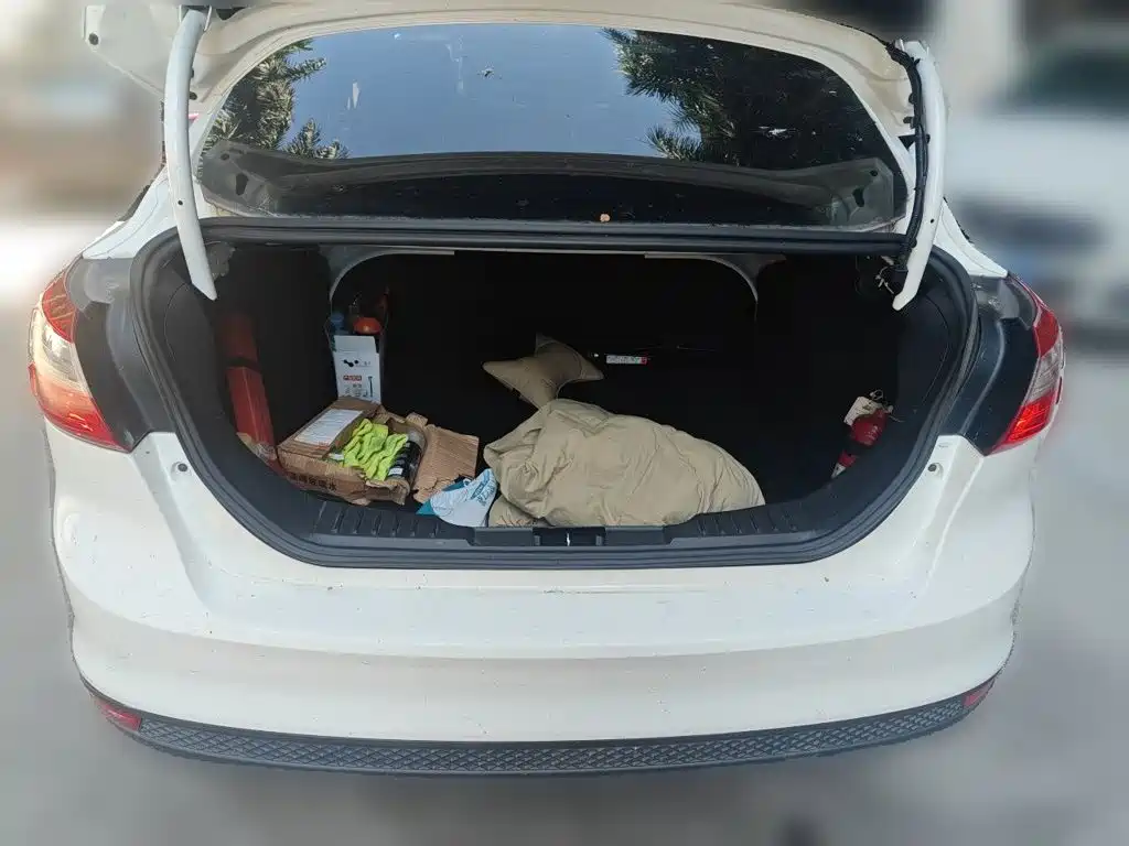 Ford Focus — миниатюра 20