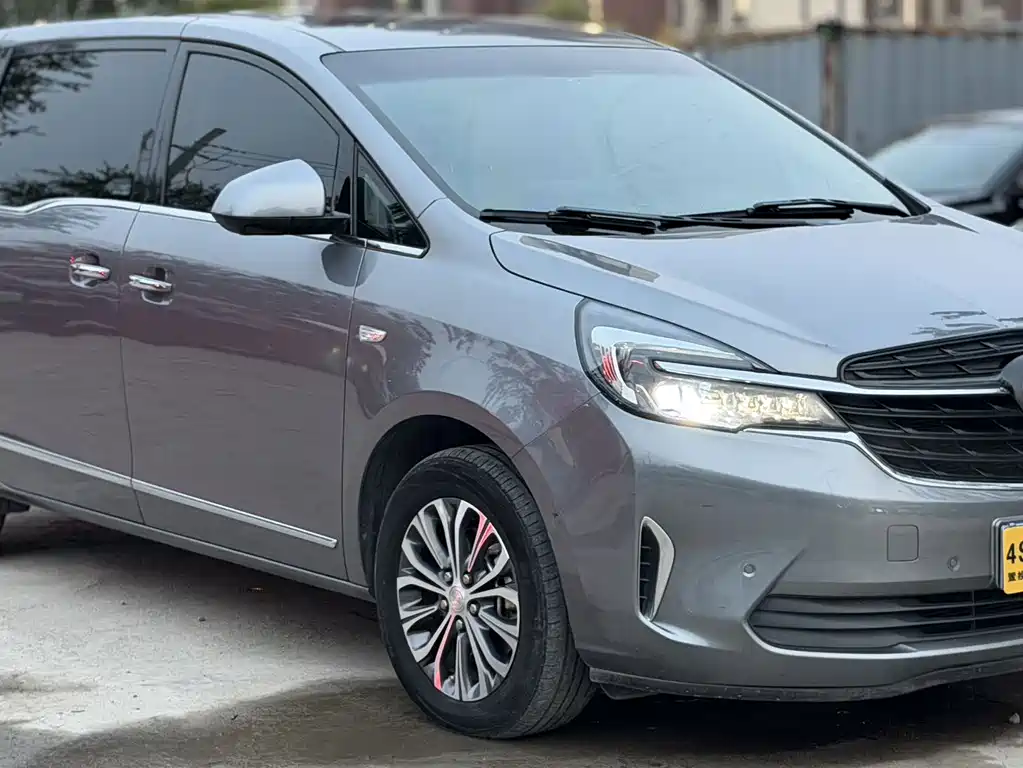 Buick GL8 — миниатюра 3