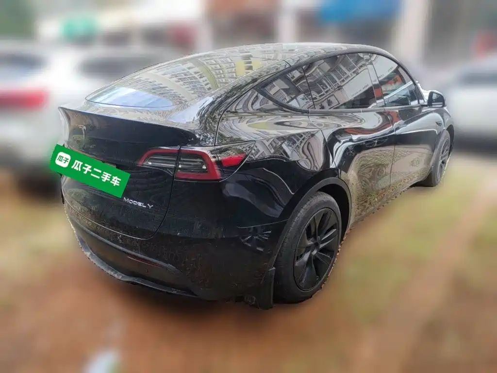 Tesla Model Y — миниатюра 4