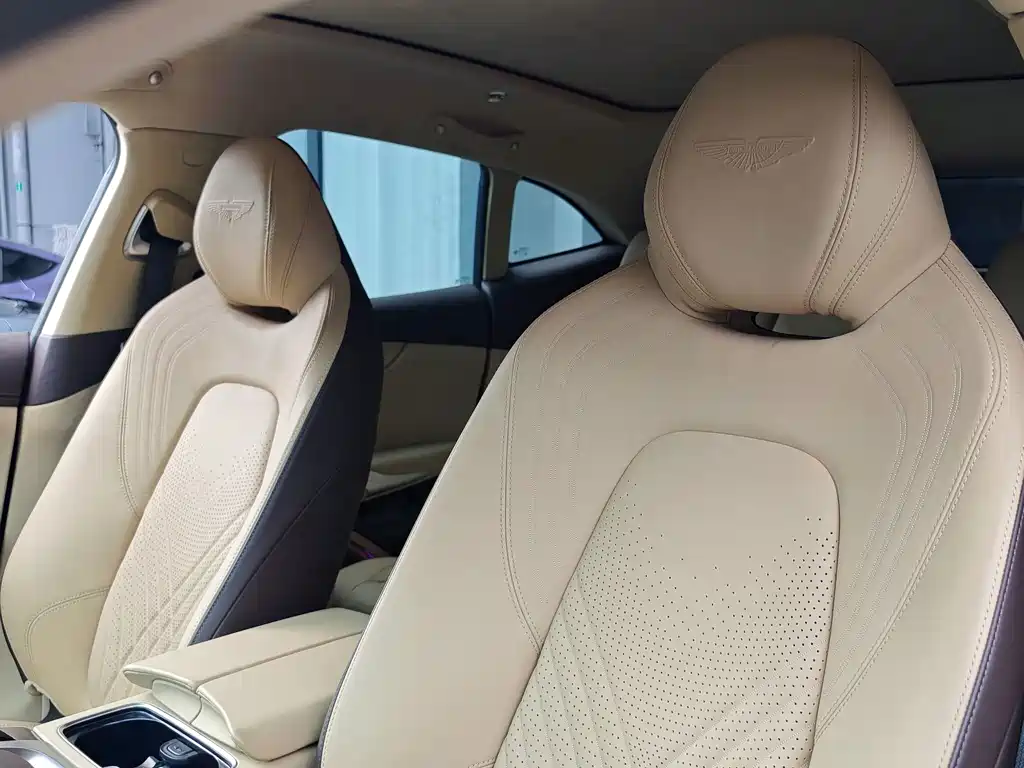 Aston Martin DBX — миниатюра 11